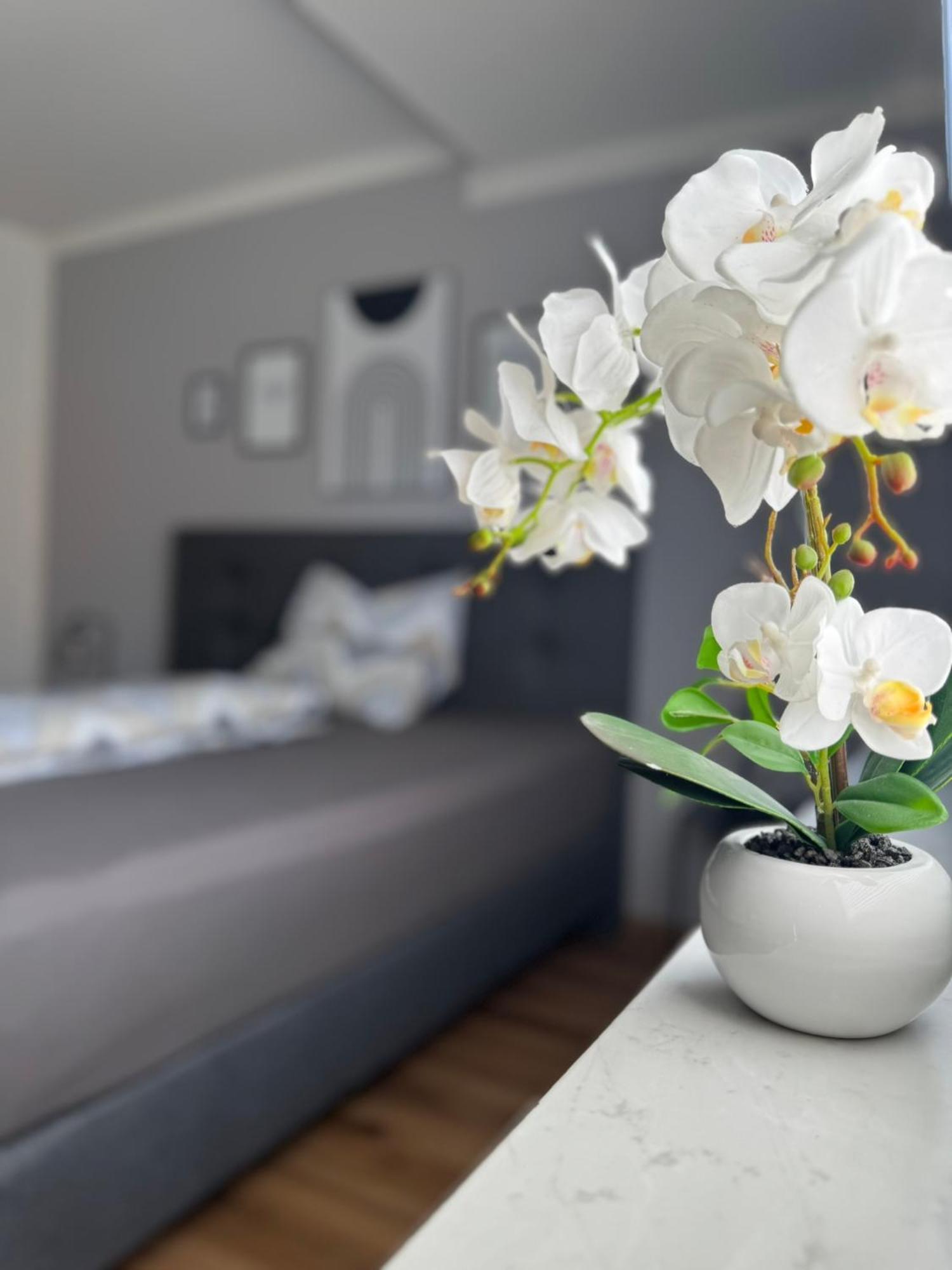 Ferienhaus Hunsrueckliebe Liederbach  外观 照片